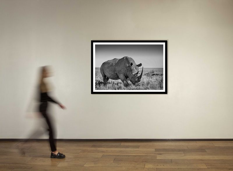 60 x 40 in., edition of 15